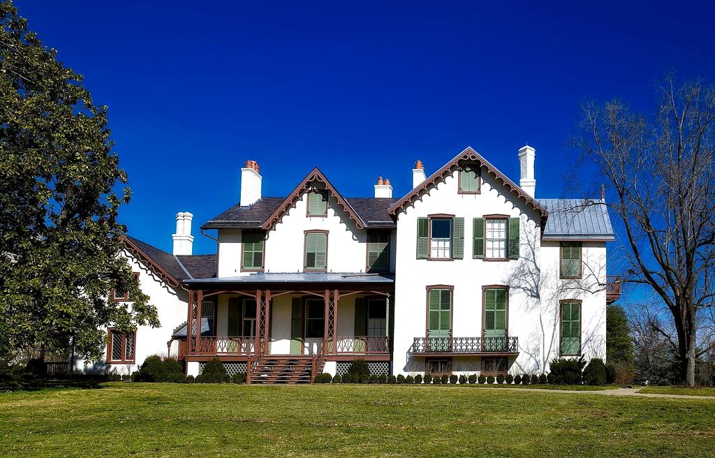 rojarue Portfolyo Başlığı